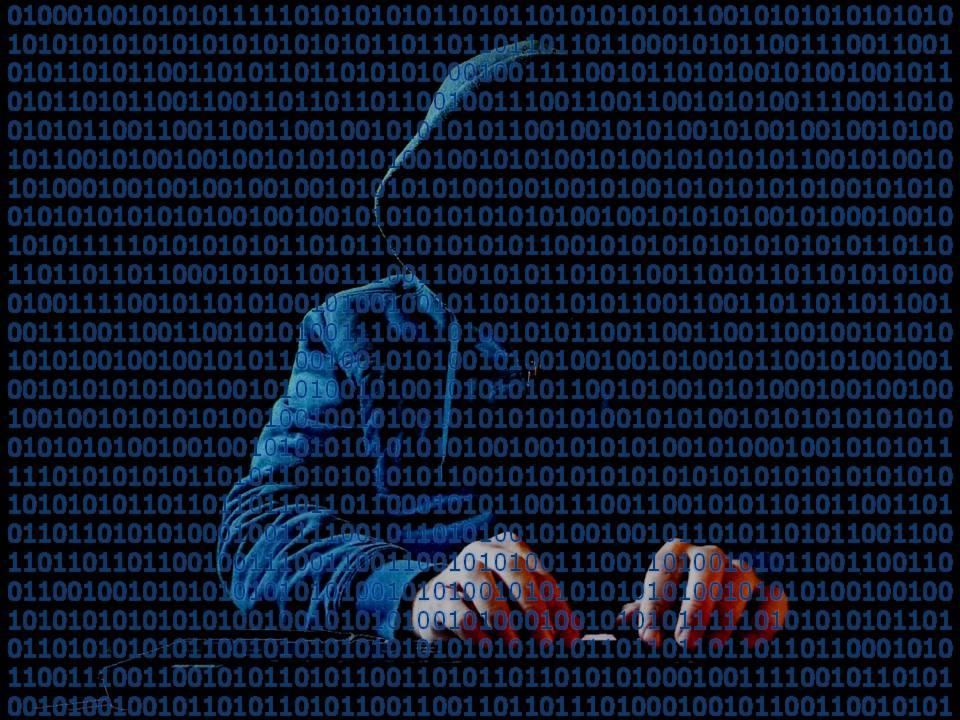 Hacker informático