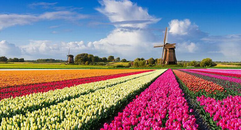 Por qué Holanda quiere que el mundo ya NO le llame así (y cómo hay que