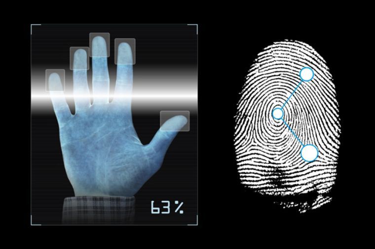 Datos biometricos WP ENDECS