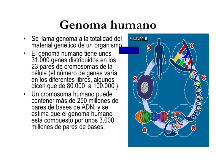 Que es el genoma humana epicor software jobstreet login