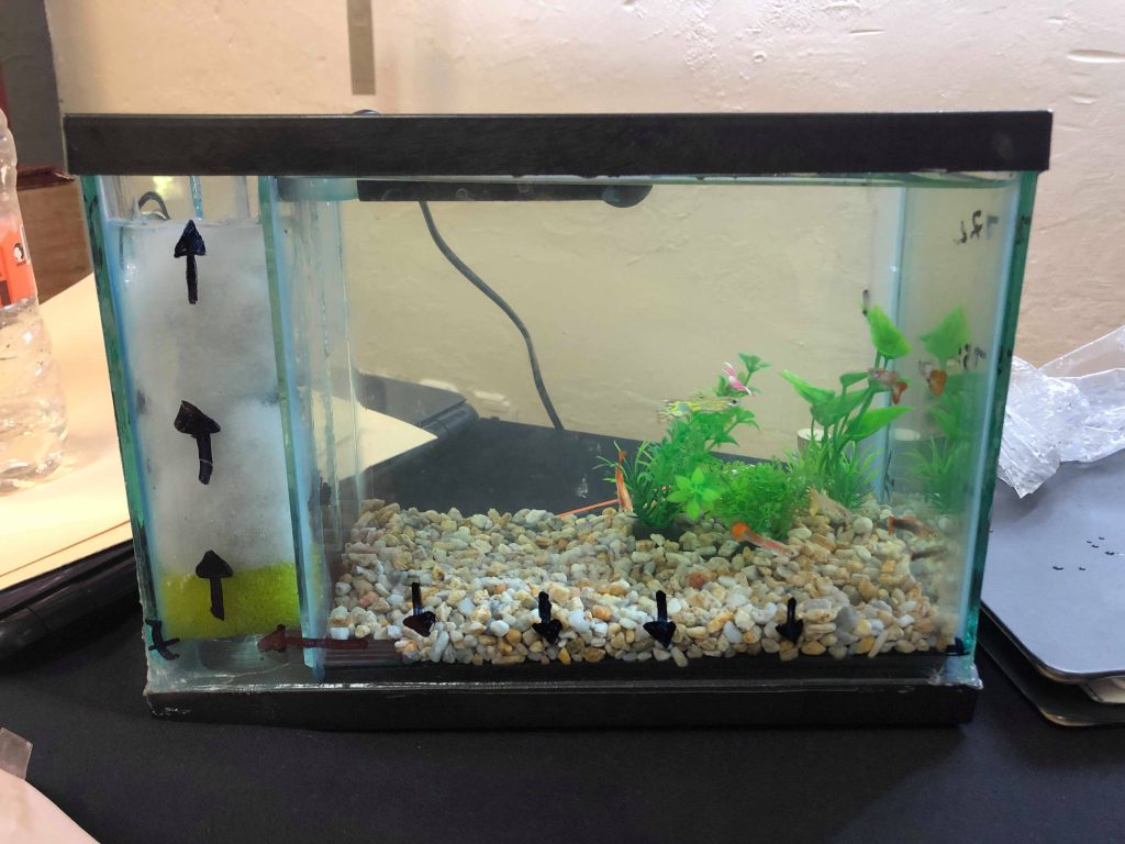 Smart Fish Tank