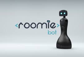 RoomieBot