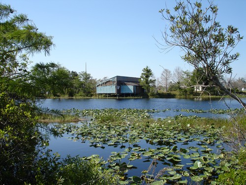 6.-The-Everglades-USA