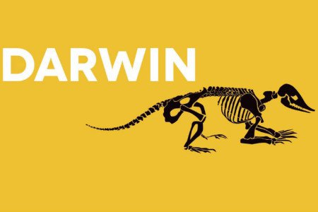 Darwin-expo-450x300