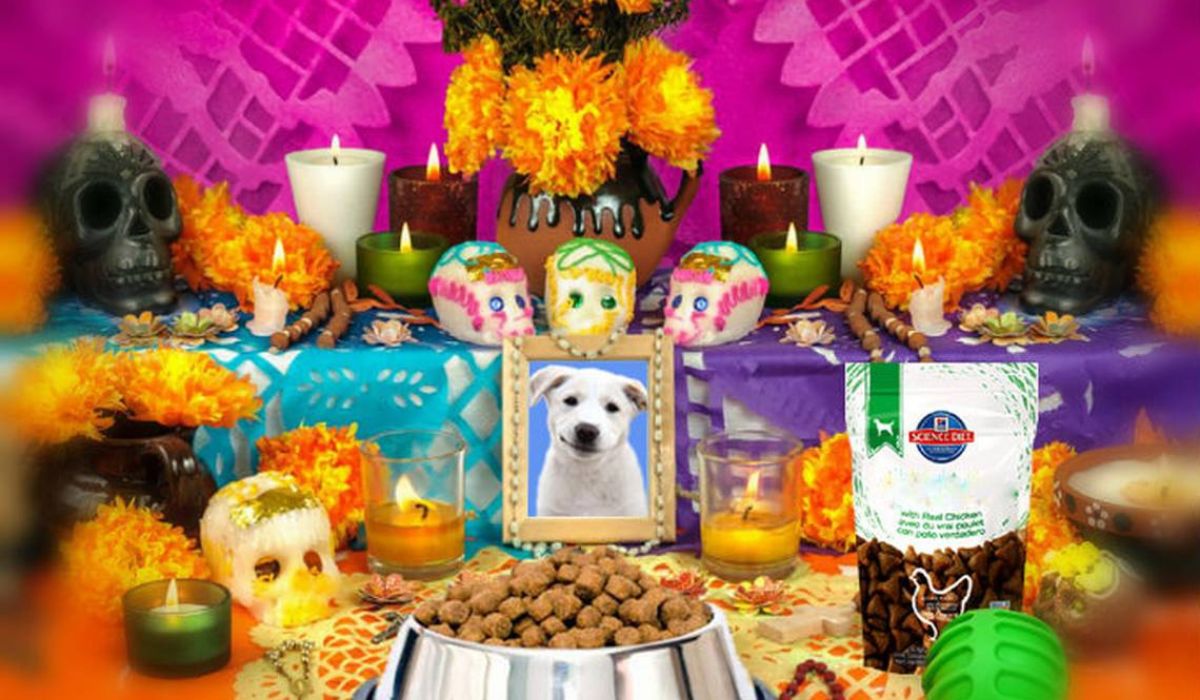 ofrendas-para-mascotas