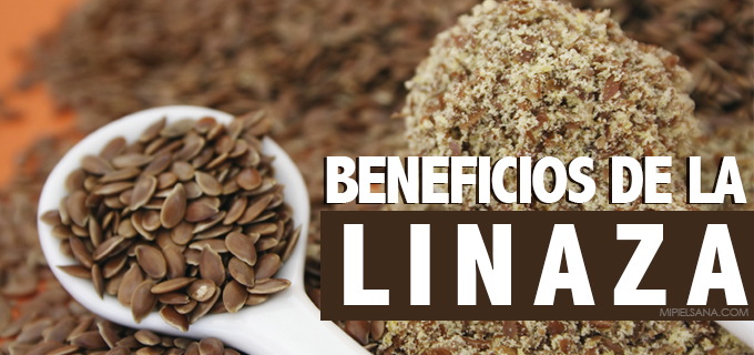 beneficios-de-la-linaza