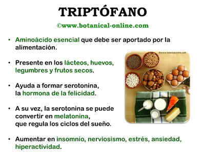 triptofanopropiedades