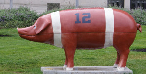 pigskin-w-300x153