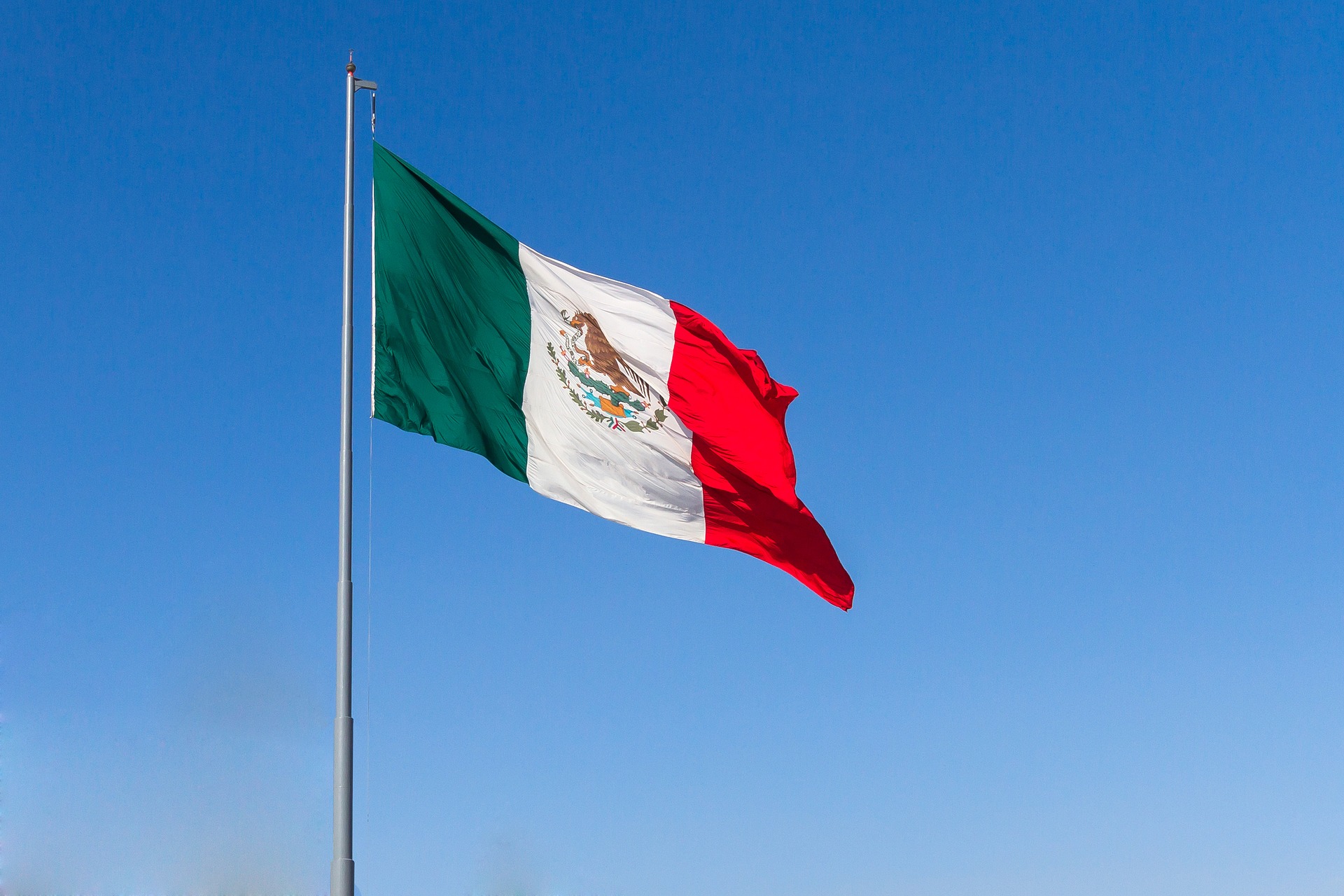 La Bandera Nacional consiste en un rectángulo dividido en tres franjas verticales de medidas idénticas, con los colores en el siguiente orden a partir del asta: verde, blanco y rojo. En la franja blanca y al centro, tiene el Escudo Nacional, con un diámetro de tres cuartas partes del ancho de dicha franja.